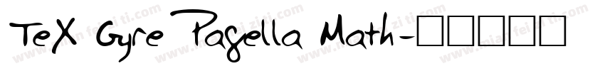 TeX Gyre Pagella Math字体转换
